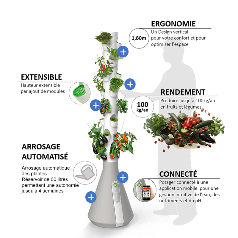 réussir son potager facile rendement maxi
