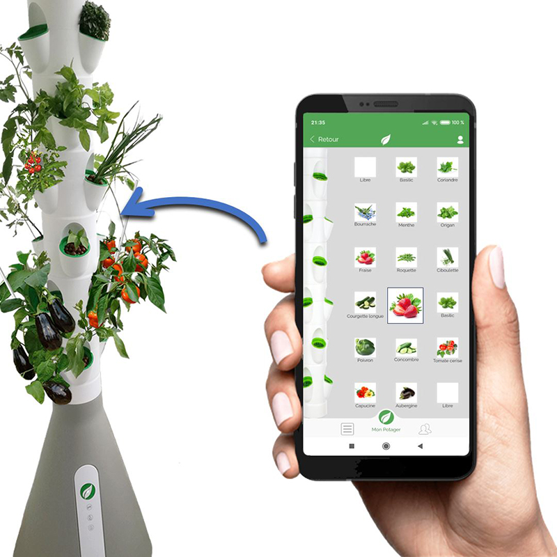 réussir son potager facile rendement maxi