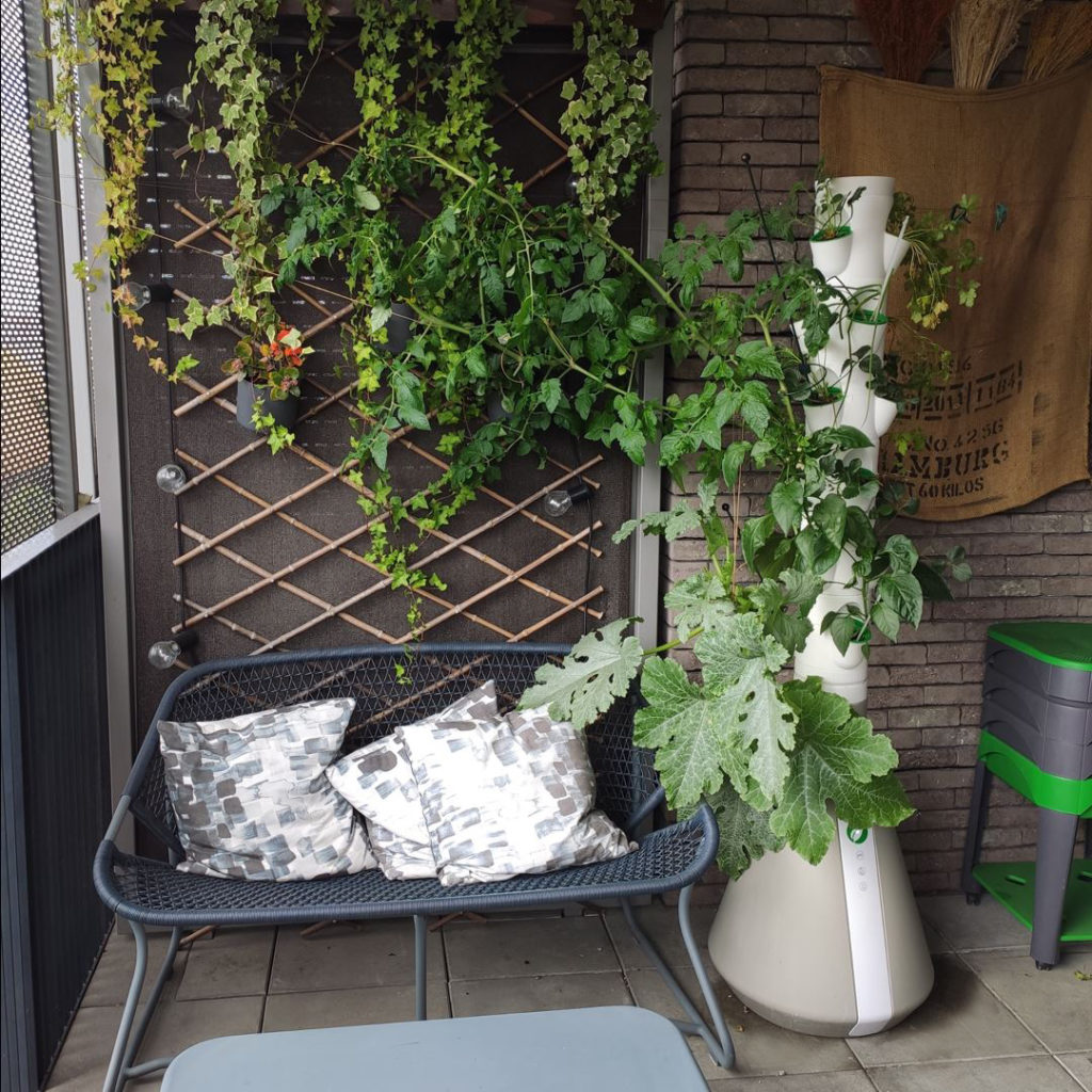 réussir son potager facile rendement maxi